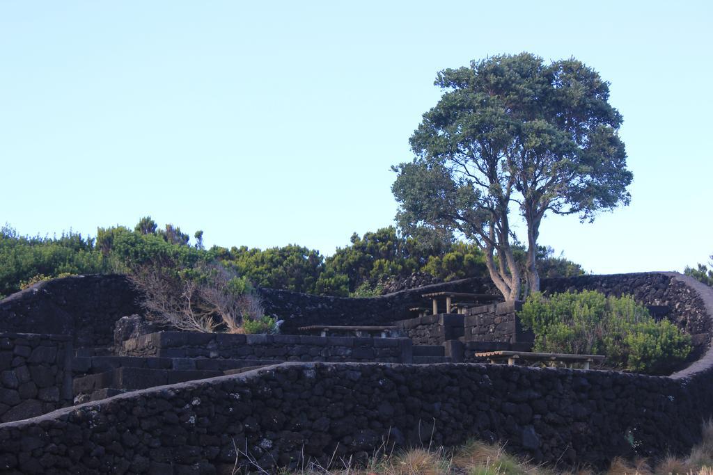 Adega Do Mirante Villa เซารอกดูปิโก ห้อง รูปภาพ